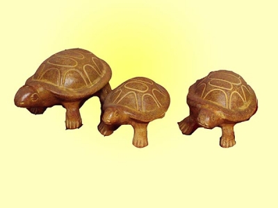 Juego Tortuga